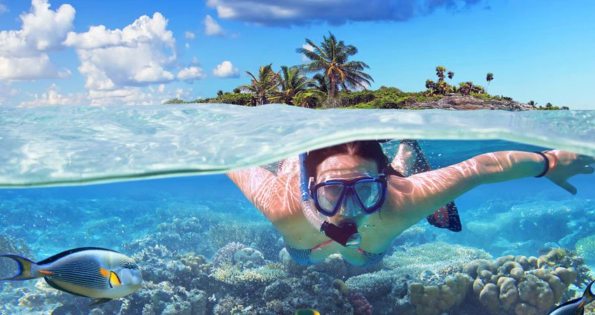 Bat Island Tour in Goa   