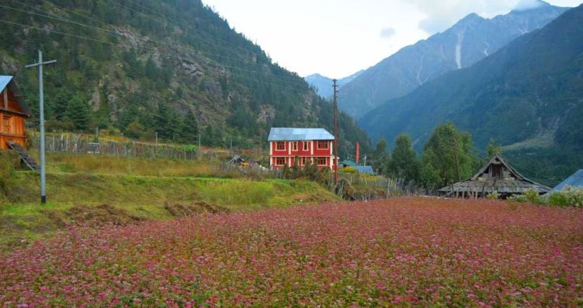 Best Kinnaur Tour