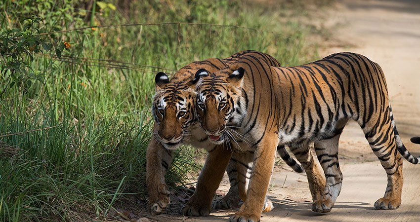 Corbett Weekend Package